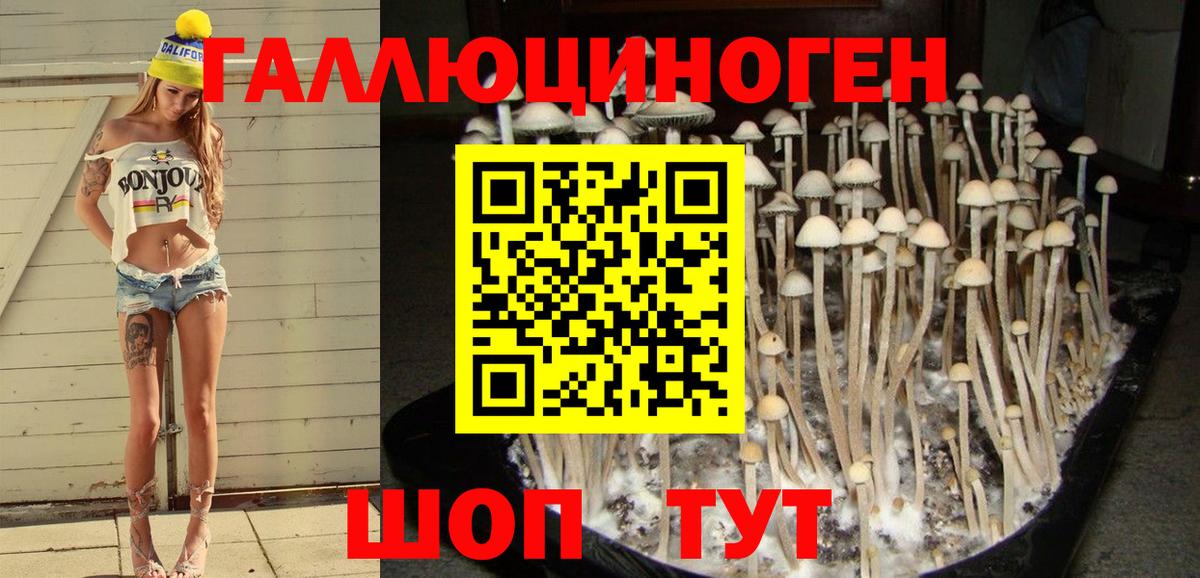 Протвино  Псилоцибиновые грибы Psilocybine cubensis  Вход с VPN 