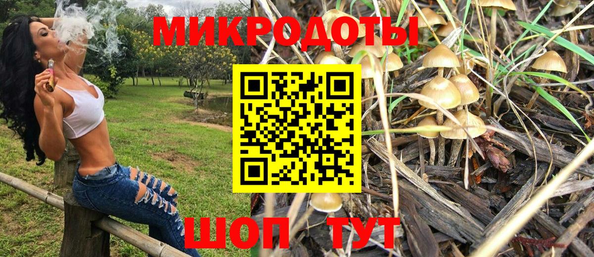 Псилоцибиновые грибы Cubensis Протвино